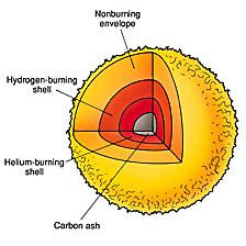 nucleosynthesis stellar evolution Here we will concentrate our attention in the nucleosynthesis of the light elements the extremely high temperatures of the early moments of the universe did not allow nuclei to exist at these temperatures, quarks had too much energy to be confined in protons and neutrons (the nuclear wall chart. nucleosynthesis stellar evolution Here we will concentrate our attention in the nucleosynthesis of the light elements the extremely high temperatures of the early moments of the universe did not allow nuclei to exist at these temperatures, quarks had too much energy to be confined in protons and neutrons (the nuclear wall chart.