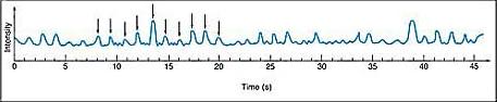 Pulsar signal