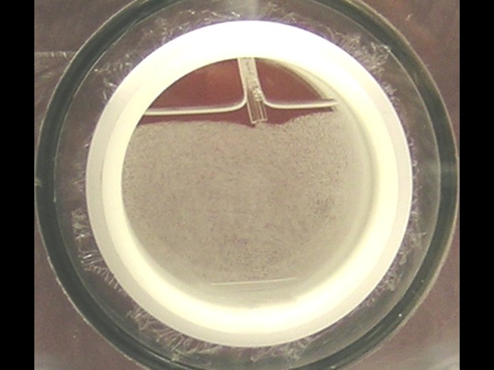 microspheres in suspension